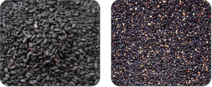 3-8 maquinaria de procesamiento de semillas de la exactitud del clasificador 99,9% del color del sésamo del negro de la t/h 1