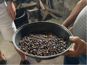 Aprendiendo el proceso del grano de café para pasar del grano a la preparación
        